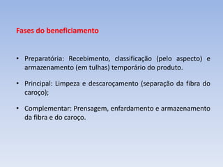 Fases do beneficiamento
• Preparatória: Recebimento, classificação (pelo aspecto) e
armazenamento (em tulhas) temporário do produto.
• Principal: Limpeza e descaroçamento (separação da fibra do
caroço);
• Complementar: Prensagem, enfardamento e armazenamento
da fibra e do caroço.
 