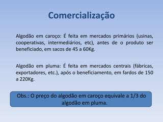 Comercialização
Algodão em caroço: É feita em mercados primários (usinas,
cooperativas, intermediários, etc), antes de o produto ser
beneficiado, em sacos de 45 a 60Kg.
Algodão em pluma: É feita em mercados centrais (fábricas,
exportadores, etc.), após o beneficiamento, em fardos de 150
a 220Kg.
Obs.: O preço do algodão em caroço equivale a 1/3 do
algodão em pluma.
 