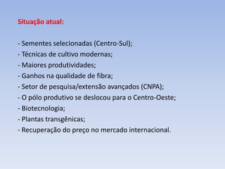 Situação atual:
- Sementes selecionadas (Centro-Sul);
- Técnicas de cultivo modernas;
- Maiores produtividades;
- Ganhos na qualidade de fibra;
- Setor de pesquisa/extensão avançados (CNPA);
- O pólo produtivo se deslocou para o Centro-Oeste;
- Biotecnologia;
- Plantas transgênicas;
- Recuperação do preço no mercado internacional.
 