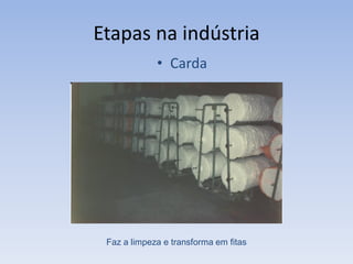 Etapas na indústria
• Carda
Faz a limpeza e transforma em fitas
 