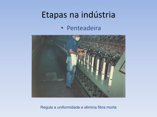 Etapas na indústria
• Penteadeira
Regula a uniformidade e elimina fibra morta
 