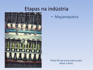 Etapas na indústria
• Maçaroqueira
Entra fita sai pavio (serve para
afinar a fibra)
 