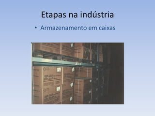Etapas na indústria
• Armazenamento em caixas
 
