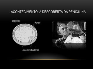 ACONTECIMENTO: A DESCOBERTA DA PENICILINA

Bactérias
                         Fungo




            Área sem bactérias
 