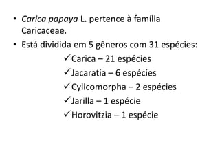 • Carica papaya L. pertence à família
Caricaceae.
• Está dividida em 5 gêneros com 31 espécies:
Carica – 21 espécies
Jacaratia – 6 espécies
Cylicomorpha – 2 espécies
Jarilla – 1 espécie
Horovitzia – 1 espécie
 