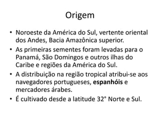 Origem
• Noroeste da América do Sul, vertente oriental
dos Andes, Bacia Amazônica superior.
• As primeiras sementes foram levadas para o
Panamá, São Domingos e outros ilhas do
Caribe e regiões da América do Sul.
• A distribuição na região tropical atribui-se aos
navegadores portugueses, espanhóis e
mercadores árabes.
• É cultivado desde a latitude 32° Norte e Sul.
 