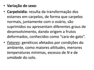 • Variação de sexo:
• Carpeloidia: resulta da transformação dos
estames em carpelos, de forma que carpelos
normais, juntamente com o ovário, são
suprimidos ou apresentam diferentes graus de
desenvolvimento, dando origem a frutos
deformados, conhecidos como “cara-de-gato”.
• Fatores: genéticos afetados por condições do
ambiente, como maiores altitudes, menores
temperaturas mínimas, excesso de N e de
umidade do solo.
 