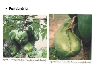 • Pendantria:
 