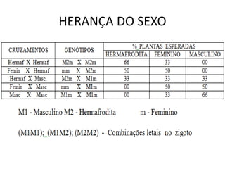 HERANÇA DO SEXO
 