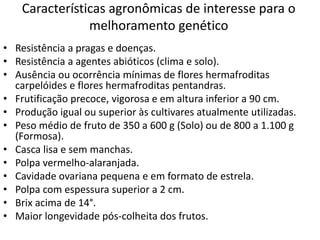 Características agronômicas de interesse para o
melhoramento genético
• Resistência a pragas e doenças.
• Resistência a agentes abióticos (clima e solo).
• Ausência ou ocorrência mínimas de flores hermafroditas
carpelóides e flores hermafroditas pentandras.
• Frutificação precoce, vigorosa e em altura inferior a 90 cm.
• Produção igual ou superior às cultivares atualmente utilizadas.
• Peso médio de fruto de 350 a 600 g (Solo) ou de 800 a 1.100 g
(Formosa).
• Casca lisa e sem manchas.
• Polpa vermelho-alaranjada.
• Cavidade ovariana pequena e em formato de estrela.
• Polpa com espessura superior a 2 cm.
• Brix acima de 14°.
• Maior longevidade pós-colheita dos frutos.
 