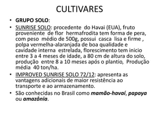 CULTIVARES
• GRUPO SOLO:
• SUNRISE SOLO: procedente do Havai (EUA), fruto
proveniente de flor hermafrodita tem forma de pera,
com peso médio de 500g, possui casca lisa e firme ,
polpa vermelha-alaranjada de boa qualidade e
cavidade interna estrelada, florescimento tem inicio
entre 3 a 4 meses de idade, a 80 cm de altura do solo,
produção entre 8 a 10 meses após o plantio, Produção
média 40 ton/ha.
• IMPROVED SUNRISE SOLO 72/12: apresenta as
vantagens adicionais de maior resistência ao
transporte e ao armazenamento.
• São conhecidas no Brasil como mamão-havaí, papaya
ou amazônia.
 