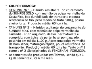 • GRUPO FORMOSA:
• TAINUNG Nº 1 - Híbrido resultante do cruzamento
do SUNRISE SOLO com mamão de polpa vermelha da
Costa Rica, boa durabilidade de transporte e pouca
resistência ao frio, peso médio do fruto 900 g, possui
cheiro forte. Produção média 60 ton / ha.
• TAINUNG Nº 2 - Híbrido resultante do cruzamento do
SUNRISE SOLO com mamão de polpa vermelha da
Tailândia . Fruto originado de flor hermafrodita é
comprido, com ápice da parte basal pontiaguado,
pesando em média 1.100 g. Apresenta polpa vermelha
de bom sabor, maturação rápida, pouca resistência ao
transporte. Produção média 60 ton / ha. Tanto o nº 1
como o nº 2 são originados de FENGSHAN - FORMOSA.
• As sementes são produzidas em Taiwan, sendo que 1
kg da semente custa 6 mil reais
 