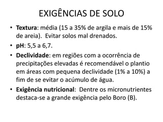 EXIGÊNCIAS DE SOLO
• Textura: média (15 a 35% de argila e mais de 15%
de areia). Evitar solos mal drenados.
• pH: 5,5 a 6,7.
• Declividade: em regiões com a ocorrência de
precipitações elevadas é recomendável o plantio
em áreas com pequena declividade (1% a 10%) a
fim de se evitar o acúmulo de água.
• Exigência nutricional: Dentre os micronutrientes
destaca-se a grande exigência pelo Boro (B).
 