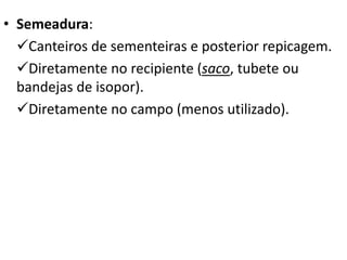 • Semeadura:
Canteiros de sementeiras e posterior repicagem.
Diretamente no recipiente (saco, tubete ou
bandejas de isopor).
Diretamente no campo (menos utilizado).
 