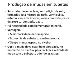 Produção de mudas em tubetes
• Substrato: deve ser leve, sem adição de solo,
formados pela mistura de turfa, vermiculita,
esterco, casca de árvores, vermicomposto, casca
de arroz carbonizada, paú...
• Há necessidade complementação mineral.
• Vantagem:
Maior facilidade de transporte.
Economia de substrato e mão-de-obra.
Ocupa menos espaço no viveiro.
• Obs.: a muda deve estar bem enraizada, no
momento de plantio, para facilitar a retirada da
muda com o substrato aderido as raízes.
 