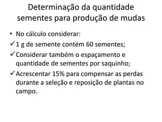 Determinação da quantidade
sementes para produção de mudas
• No cálculo considerar:
1 g de semente contém 60 sementes;
Considerar também o espaçamento e
quantidade de sementes por saquinho;
Acrescentar 15% para compensar as perdas
durante a seleção e reposição de plantas no
campo.
 