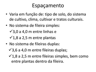 Espaçamento
• Varia em função de: tipo de solo, do sistema
de cultivo, clima, cultivar e tratos culturais.
• No sistema de fileira simples:
3,0 a 4,0 m entre linhas e
1,8 a 2,5 m entre plantas
• No sistema de fileiras duplas:
3,6 a 4,0 m entre fileiras duplas;
1,8 a 2,5 m entre fileiras simples, bem como
entre plantas dentro da fileira.
 