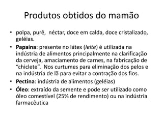 Produtos obtidos do mamão
• polpa, purê, néctar, doce em calda, doce cristalizado,
geléias.
• Papaína: presente no látex (leite) é utilizada na
indústria de alimentos principalmente na clarificação
da cerveja, amaciamento de carnes, na fabricação de
“chiclete”. Nos curtumes para eliminação dos pelos e
na indústria de lã para evitar a contração dos fios.
• Pectina: indústria de alimentos (geléias)
• Óleo: extraído da semente e pode ser utilizado como
óleo comestível (25% de rendimento) ou na indústria
farmacêutica
 