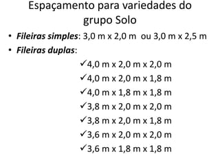 Espaçamento para variedades do
grupo Solo
• Fileiras simples: 3,0 m x 2,0 m ou 3,0 m x 2,5 m
• Fileiras duplas:
4,0 m x 2,0 m x 2,0 m
4,0 m x 2,0 m x 1,8 m
4,0 m x 1,8 m x 1,8 m
3,8 m x 2,0 m x 2,0 m
3,8 m x 2,0 m x 1,8 m
3,6 m x 2,0 m x 2,0 m
3,6 m x 1,8 m x 1,8 m
 