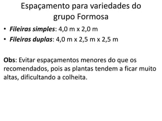 Espaçamento para variedades do
grupo Formosa
• Fileiras simples: 4,0 m x 2,0 m
• Fileiras duplas: 4,0 m x 2,5 m x 2,5 m
Obs: Evitar espaçamentos menores do que os
recomendados, pois as plantas tendem a ficar muito
altas, dificultando a colheita.
 