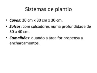 Sistemas de plantio
• Covas: 30 cm x 30 cm x 30 cm.
• Sulcos: com sulcadores numa profundidade de
30 a 40 cm.
• Camalhões: quando a área for propensa a
encharcamentos.
 