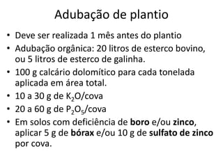 Adubação de plantio
• Deve ser realizada 1 mês antes do plantio
• Adubação orgânica: 20 litros de esterco bovino,
ou 5 litros de esterco de galinha.
• 100 g calcário dolomítico para cada tonelada
aplicada em área total.
• 10 a 30 g de K2O/cova
• 20 a 60 g de P2O5/cova
• Em solos com deficiência de boro e/ou zinco,
aplicar 5 g de bórax e/ou 10 g de sulfato de zinco
por cova.
 
