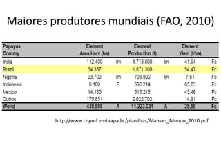 Maiores produtores mundiais (FAO, 2010)
http://www.cnpmf.embrapa.br/planilhas/Mamao_Mundo_2010.pdf
 