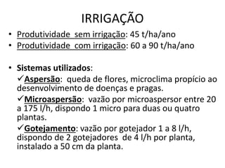 IRRIGAÇÃO
• Produtividade sem irrigação: 45 t/ha/ano
• Produtividade com irrigação: 60 a 90 t/ha/ano
• Sistemas utilizados:
Aspersão: queda de flores, microclima propício ao
desenvolvimento de doenças e pragas.
Microaspersão: vazão por microaspersor entre 20
a 175 l/h, dispondo 1 micro para duas ou quatro
plantas.
Gotejamento: vazão por gotejador 1 a 8 l/h,
dispondo de 2 gotejadores de 4 l/h por planta,
instalado a 50 cm da planta.
 