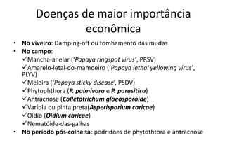 Doenças de maior importância
econômica
• No viveiro: Damping-off ou tombamento das mudas
• No campo:
Mancha-anelar (‘Papaya ringspot virus’, PRSV)
Amarelo-letal-do-mamoeiro (‘Papaya lethal yellowing virus’,
PLYV)
Meleira (‘Papaya sticky disease’, PSDV)
Phytophthora (P. palmivora e P. parasitica)
Antracnose (Colletotrichum gloeosporoide)
Varíola ou pinta preta(Asperisporium caricae)
Oídio (Oidium caricae)
Nematóide-das-galhas
• No período pós-colheita: podridões de phytothtora e antracnose
 