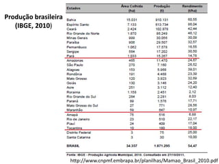 http://www.cnpmf.embrapa.br/planilhas/Mamao_Brasil_2010.pdf
Produção brasileira
(IBGE, 2010)
 