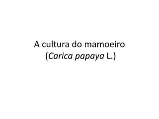 A cultura do mamoeiro
(Carica papaya L.)
 