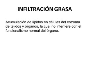 Acumulación de lípidos en células del estroma
de tejidos y órganos, la cual no interfiere con el
funcionalismo normal del órgano.
INFILTRACIÓNGRASA
 