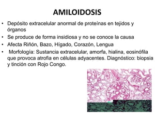 AMILOIDOSIS
• Depósito extracelular anormal de proteínas en tejidos y
órganos
• Se produce de forma insidiosa y no se conoce la causa
• Afecta Riñón, Bazo, Hígado, Corazón, Lengua
• Morfología: Sustancia extracelular, amorfa, hialina, eosinófila
que provoca atrofia en células adyacentes. Diagnóstico: biopsia
y tinción con Rojo Congo.
 