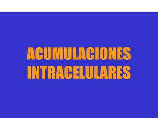 ACUMULACIONES
INTRACELULARES
 