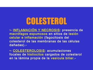 COLESTEROL
•- INFLAMACIÓN Y NECROSIS : presencia de
macrófagos espumosos en sitios de lesión
celular e inflamación (fagocitosis del
colesterol de las membranas de las células
dañadas).-
•- COLESTEROLOSIS: acumulaciones
focales de histiocitos cargados de colesterol
en la lámina propia de la vesícula biliar .-
 