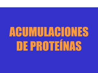 ACUMULACIONES
 DE PROTEÍNAS
 