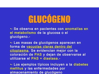 GLUCÓGENO
•- Se observa en pacientes con anomalías en
el metabolismo de la glucosa o el
glucógeno.-
•- Las masas de glucógenos aparecen en
forma de vacuolas claras dentro del
citoplasma. Se evidencian mejor con la
coloración de PAS y dejan de observarse al
utilizarse el PAS + diastasa.-
•- Los ejemplos típicos incluyen a la diabetes
mellitus y las enfermedades por
almacenamiento de glucógeno
 