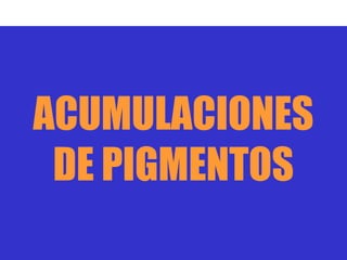 ACUMULACIONES
 DE PIGMENTOS
 