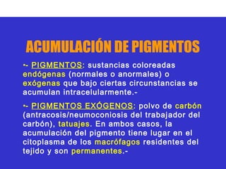 ACUMULACIÓN DE PIGMENTOS
•- PIGMENTOS: sustancias coloreadas
endógenas (normales o anormales) o
exógenas que bajo ciertas circunstancias se
acumulan intracelularmente.-
•- PIGMENTOS EXÓGENOS: polvo de carbón
(antracosis/neumoconiosis del trabaj ador del
carbón), tatuajes. En ambos casos, la
acumulación del pigmento tiene lugar en el
citoplasma de los macrófagos residentes del
tejido y son permanentes.-
 