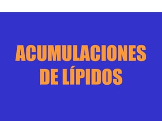 ACUMULACIONES
  DE LÍPIDOS
 