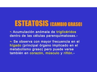 ESTEATOSIS (CAMBIO GRASO)
•- Acumulación anómala de triglicéridos
dentro de las células parenquimatosas.-
•- Se observa con mayor frecuencia en el
hígado (principal órgano implicado en el
metabolismo graso) pero puede verse
también en corazón, músculo y riñón.-
 