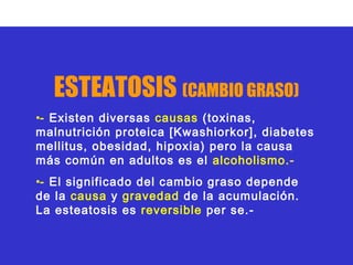 ESTEATOSIS (CAMBIO GRASO)
•- Existen diversas causas (toxinas,
malnutrición proteica [Kwashiorkor], diabetes
mellitus, obesidad, hipoxia) pero la causa
más común en adultos es el alcoholismo.-
•- El significado del cambio graso depende
de la causa y gravedad de la acumulación.
La esteatosis es reversible per se.-
 