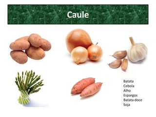 Caule




        Batata
        Cebola
        Alho
        Espargos
        Batata doce
        Soja
 