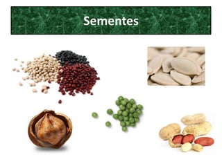 Sementes
 