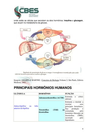 9
onde estão as células que secretam os dois hormônios: insulina e glucagon,
que atuam no metabolismo da glicose.
Imagem: AMABIS & MARTHO. Conceitos de Biologia Volume 2. São Paulo, Editora
Moderna, 2001.
PRINCIPAIS HORMÔNIOS HUMANOS
GLÂNDULA HORMÔNIO FUNÇÃO
Adeno-hipófise ou lobo
anterior da hipófise
Adrenocorticotrófico (ACTH)
Estimula o córtex
adrenal.
Tireotrófico (TSH) ou
tireotrofina
Estimula a tireóide a
secretar seus
principais hormônios.
Sua produção é
estimulada pelo
hormônio liberador de
tireotrofina (TRH),
secretado pelo
hipotálamo.
 
