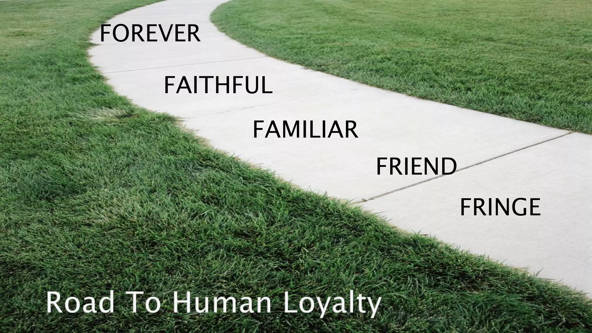 FOREVER 
FAITHFUL 
FAMILIAR 
FRIEND 
FRINGE 
 