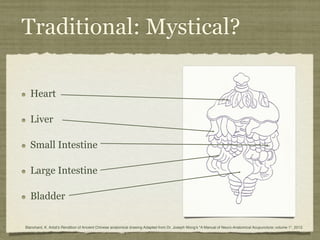!   Heart
!   Liver
!   Small Intestine
!   Large Intestine
!   Bladder
Traditional: Mystical?
1. !Blanchard, K. Artist's Rendition of Ancient Chinese anatomical drawing Adapted from Dr. Joseph Wong's "A Manual of Neuro-Anatomical Acupuncture; volume 1". 2013.!
 