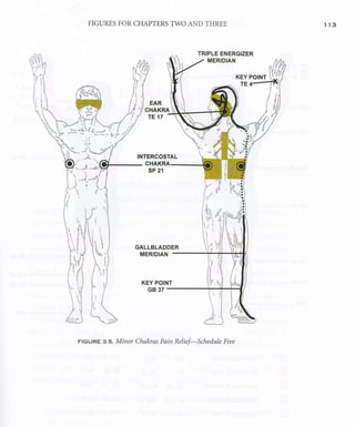 AcupunctureandtheChakraEnergySystem 2.pdf