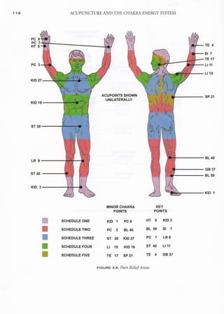 AcupunctureandtheChakraEnergySystem 2.pdf