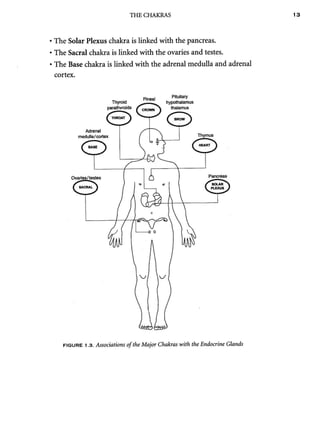 AcupunctureandtheChakraEnergySystem 2.pdf